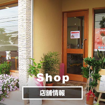 Shop　店舗情報