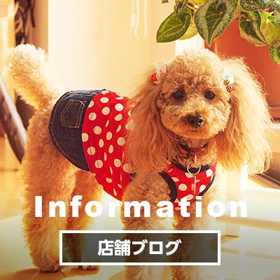 Information 店舗ブログ