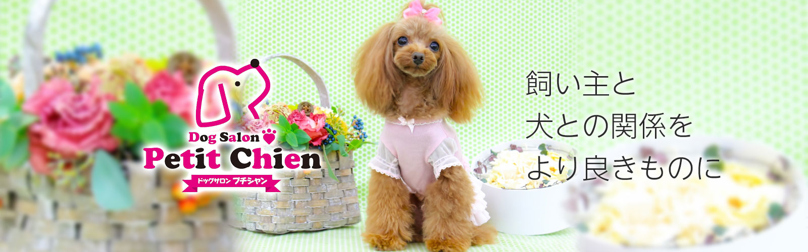 Dog Salon Petit Chien　ドッグサロン プチシャン　飼い主と犬との関係をより良きものに